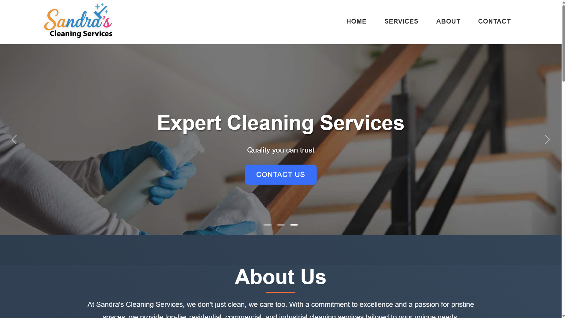 Publish Professional Website - Example 3